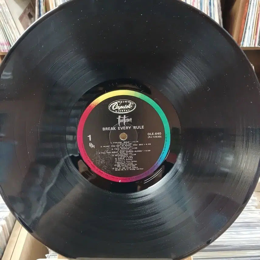 [BUNJANG] Tina Turner Break Every Rule LP Vinyl Record / 소울의 여왕 티나 터너 브레이크 에브리 룰 LP