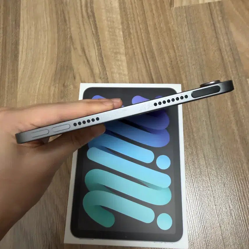 [BUNJANG] Apple iPad mini 6 64GB + Apple Pencil 2nd Gen / 아이패드 미니6 64gb+애플펜슬 2세대