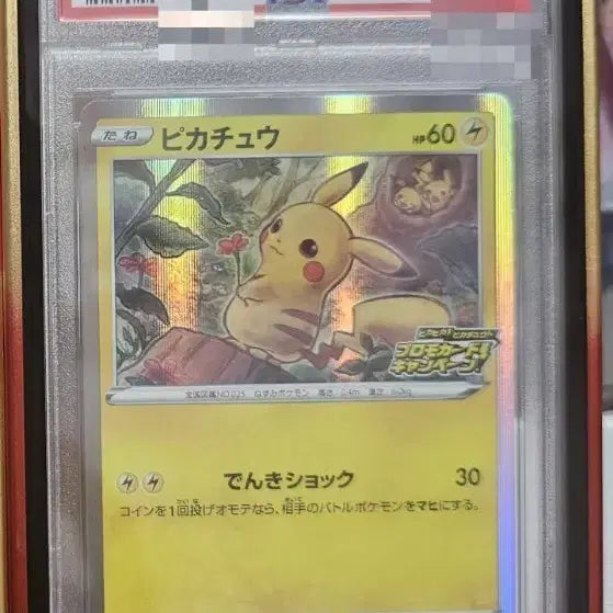 [BUNJANG] Pikachu Holo Promo Card (2020 Japan S-P) PSA 10 / 인기 많은 피카츄, 꽃든츄 PSA10