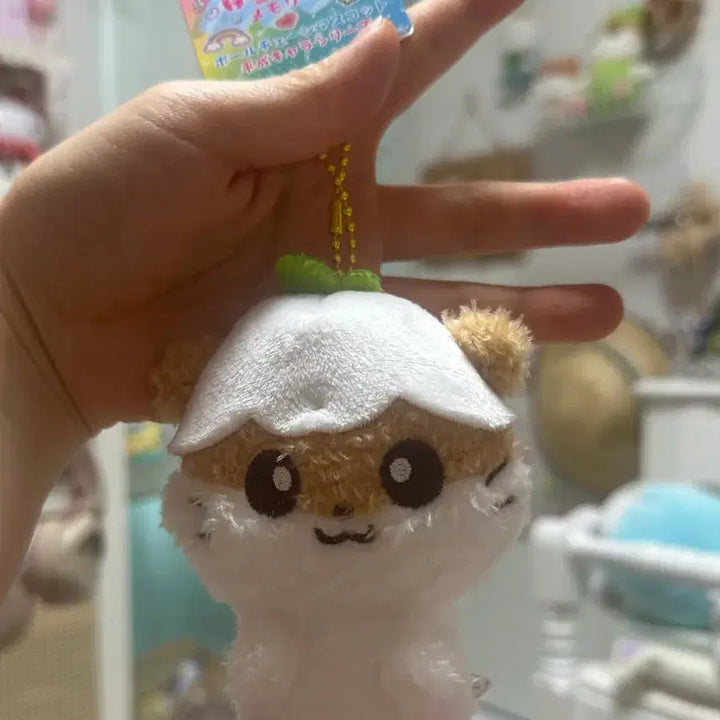 [BUNJANG] Sanrio Kuriring Plush Toy / 뽀실 쿠리링 산리오 일본 인형