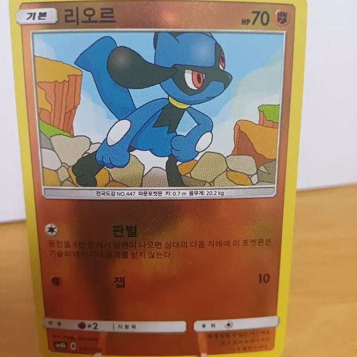 [BUNJANG] Lior Pokémon Card / 리오르 포켓몬 카드