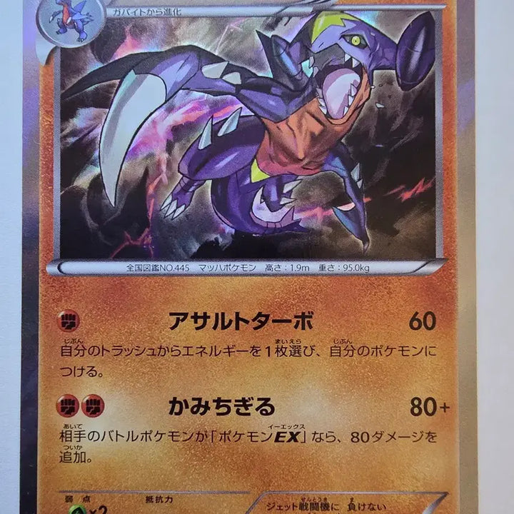[BUNJANG] Vintage Japanese Pokemon Card 2013 Garchomp XY Holo / 빈티지)포켓몬카드 일판 2013 한카리아스 XY홀로