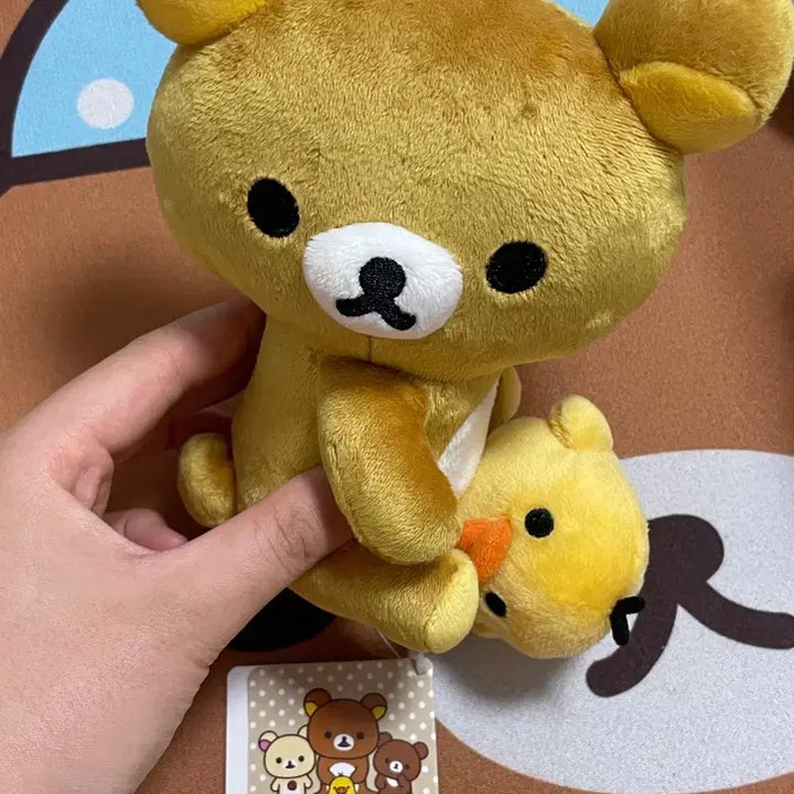 [BUNJANG] Rilakkuma Kogumape is a Bear Plush Toy / 리락쿠마 키이 인형
