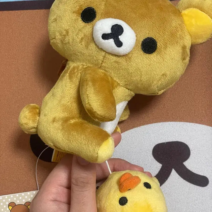 [BUNJANG] Rilakkuma Kogumape is a Bear Plush Toy / 리락쿠마 키이 인형