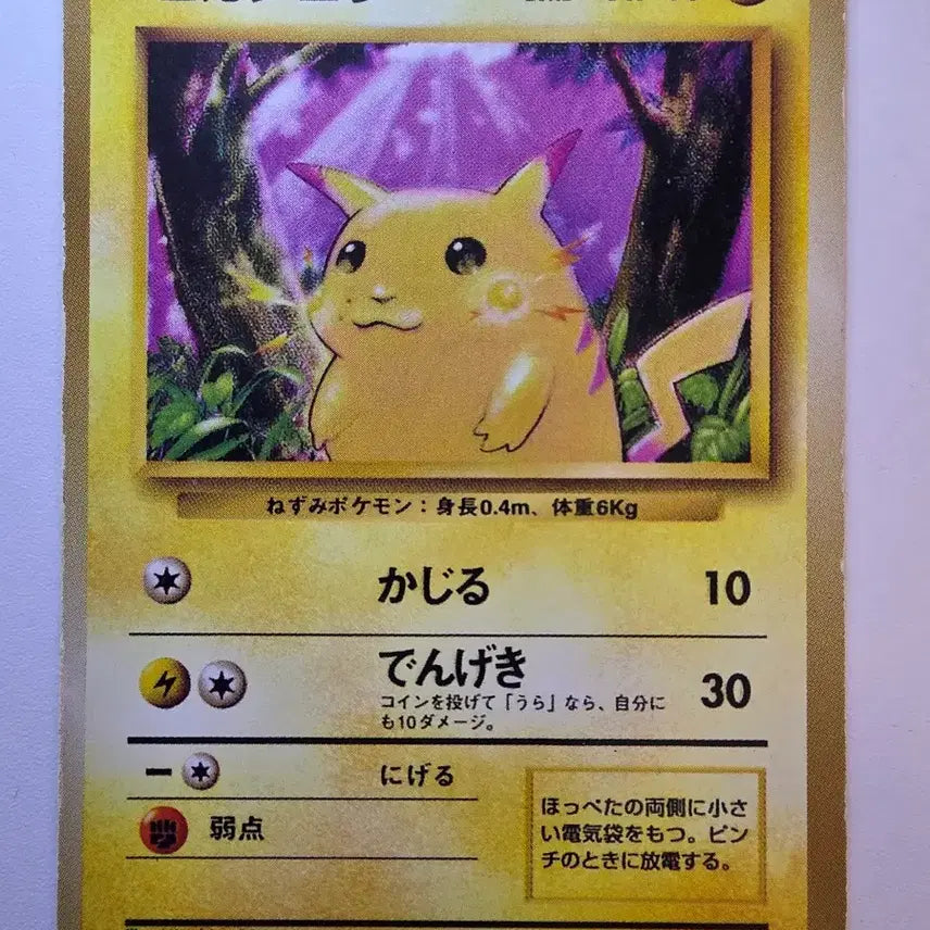 [BUNJANG] Pokemon Card 1996 Chunky Pikachu / 포켓몬카드 1996 초기 뚱카츄