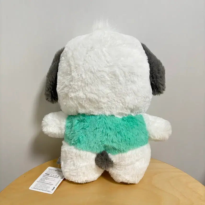 [BUNJANG] Sanrio Pochacco Standing Medium Plush Doll Mint / [신제품] 정품 산리오 포차코 스탠딩 중형 봉제인형 민트