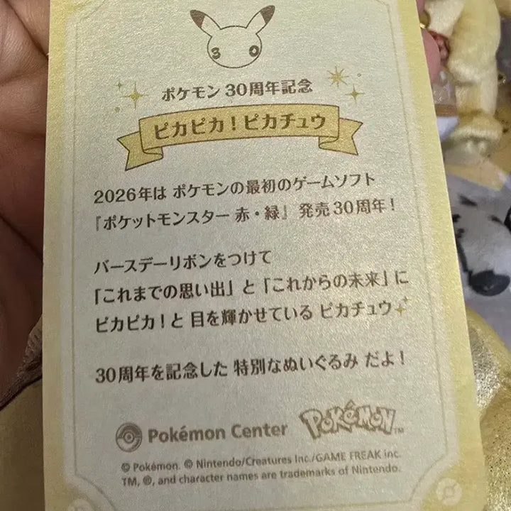 [BUNJANG] Pokemon 30th Anniversary Sparkly Pikachu Plush Toy / 반택포5.5)중국x 포켓몬 30주년 반짝반짝 피카츄 피카피카 피카츄 인형