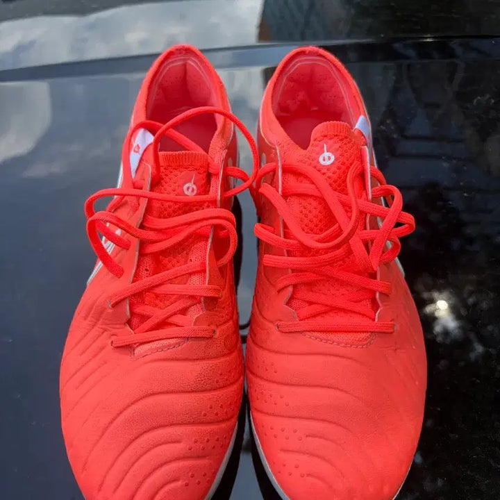 [BUNJANG] Nike Tiempo Legend 10 Elite FG Soccer Cleats / 나이키 티엠포 레전드 10 엘리트 FG 270