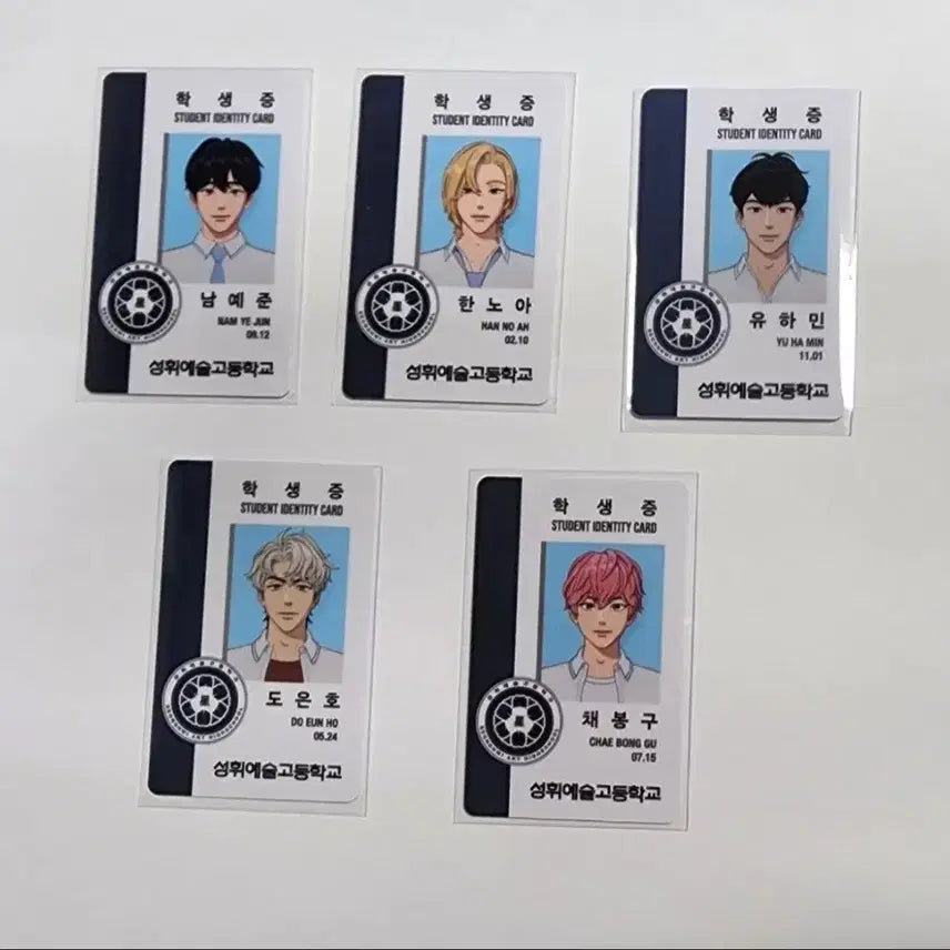 [BUNJANG] PLAVE Yu-reum Student ID Card Bundle Set / 플레이브 육여름 학생증 5인 일괄