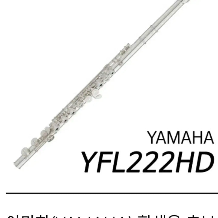 [BUNJANG] Yamaha YFL-222HD Flute / 야마아 플룻 222HD 판매합니다 (거의 새거)