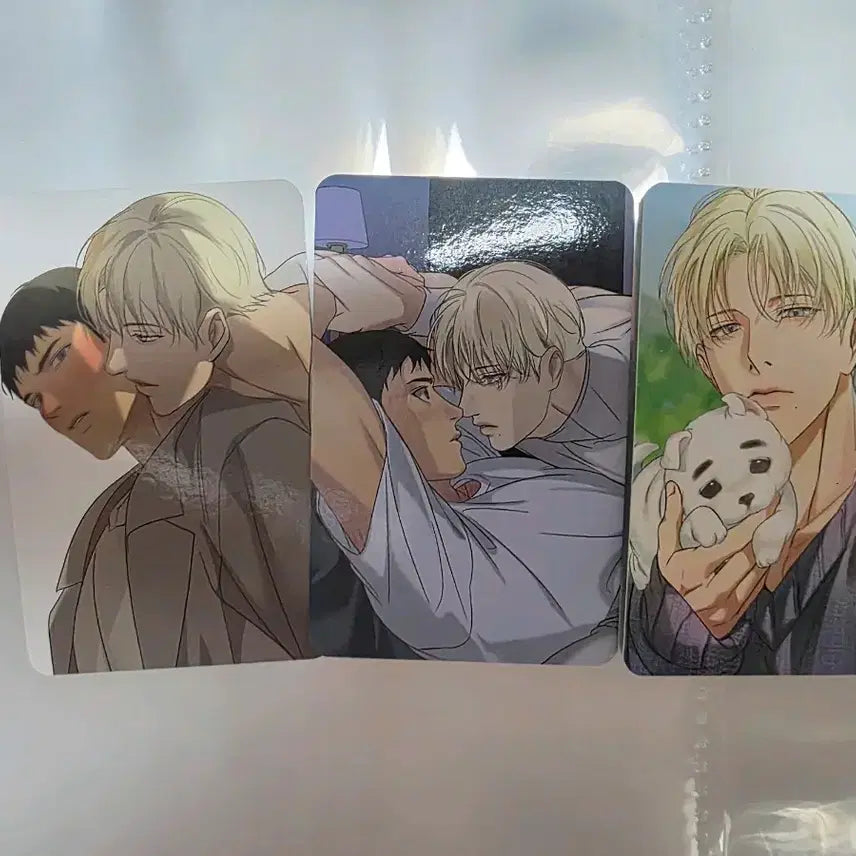 [BUNJANG] Backlight Photocard / 백라이트 포카 포토카드