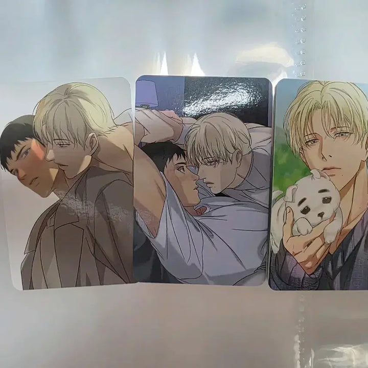 [BUNJANG] Backlight Photocard / 백라이트 포카 포토카드