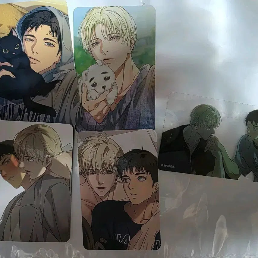 [BUNJANG] Giraffe Photocard Bundle Set / 백라이트 걸포 포카 포토카드 특전 일괄