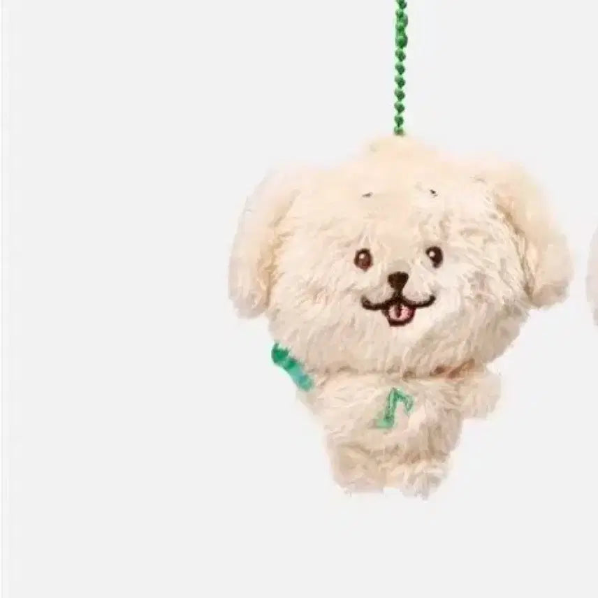 [BUNJANG] NCT WISH Dangtreeber Plush / 엔시티위시 포켓위시돌  댕트리버