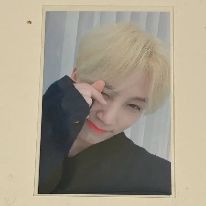 [BUNJANG] SEVENTEEN Jeonghan Studio Live Photocard / 세븐틴 정한 공방포카 판매