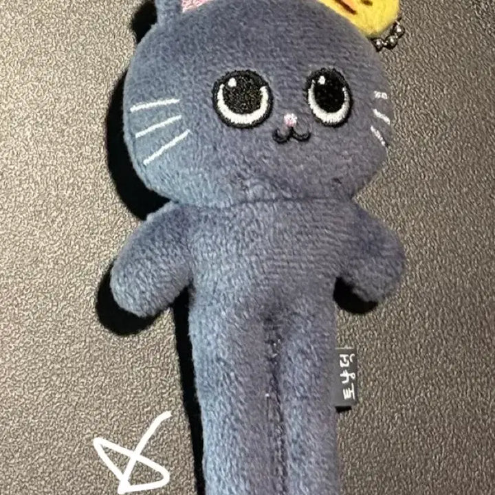 [BUNJANG] RIIZE Teddy Bear Long-Legs Plush Toy / 라이즈 토냥덕 롱다리