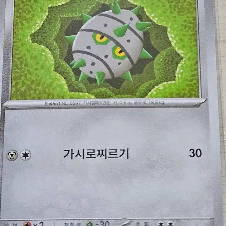 [BUNJANG] Pokemon Cards Chespin &amp; Quilladin / 포켓몬 카드 철시드, 너트령
