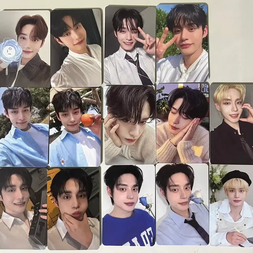 [BUNJANG] ZEROBASEONE Kim Jiwoong Bundle Set Photocard / 김지웅 포카 일괄 제로베이스원 제베원 포토카드 양도