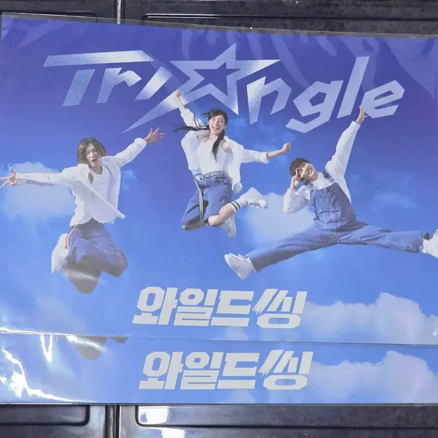 [BUNJANG] Wild Thing Cat Staff Poster Set / 와일드 씽, 포스터 4종 (냥사원 + 2집 + 3주차)