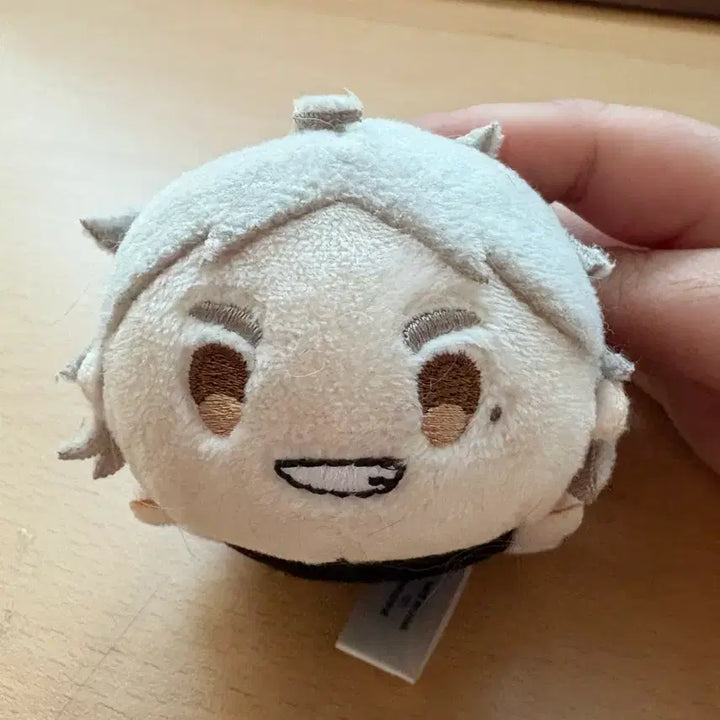 [BUNJANG] Haikyuu!! Sugawara Koushi Plush Doll / 하이큐 스가와라 쯔무