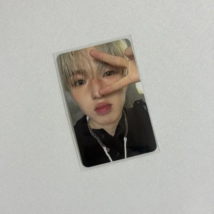 [BUNJANG] NCT WISH Odd To Love Album Sakuya Photocard / 엔시티위시 오드투러브 앨범 사쿠야 포토카드