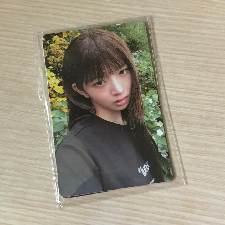 [BUNJANG] IVE Rei Special Photocard Set / 미세키 서울 레이 포카 세트
