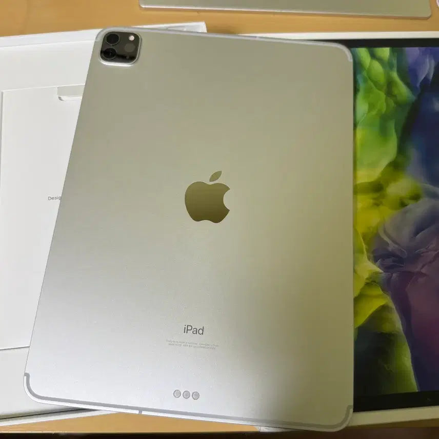 [BUNJANG] Apple iPad Pro 11-inch 2nd Gen Cellular Silver / 아이패드 프로 11 2세대 실버 셀룰러