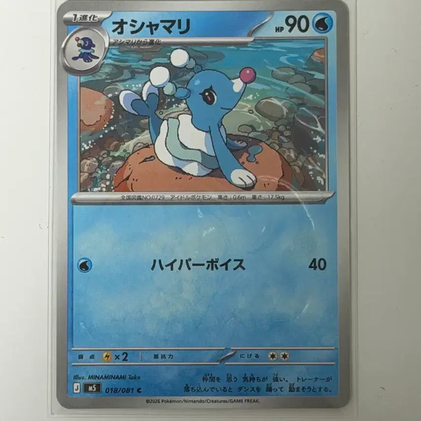 [BUNJANG] Pokemon Card Ninetales AR Mint Condition Set / 일판) 포켓몬 카드 누리레느AR 상태S급 팝니다(세트)다 드립니다