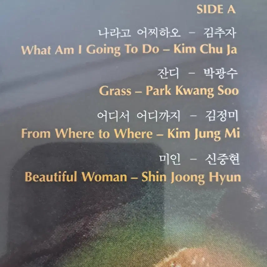 [BUNJANG] Shin Jung-hyeon (1970~1979) LP Sealed / LP  신중현 (1970~1979)  미개봉판매