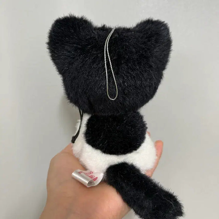 [BUNJANG] Vintage Cat Plush Toy / 빈티지인형 / 고전 고양이인형