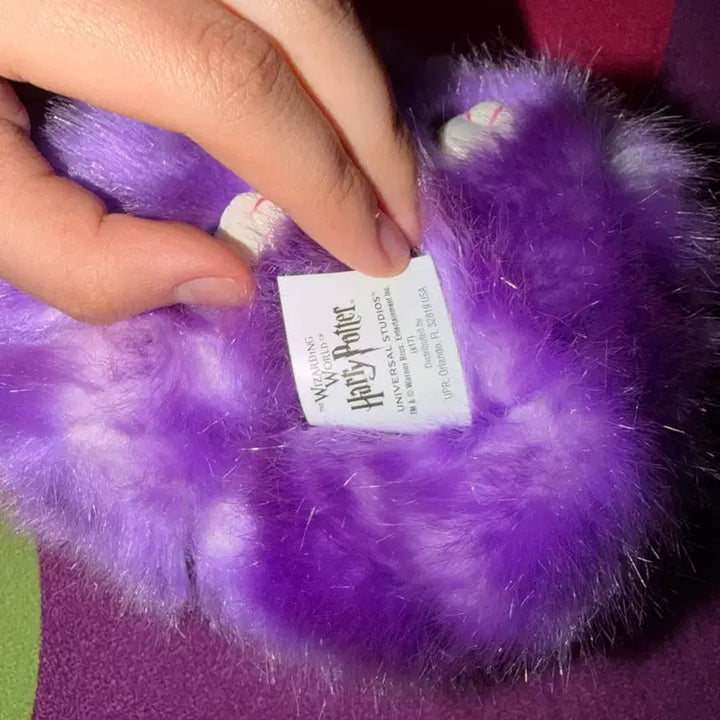 [BUNJANG] Harry Potter Universal Studios Pygmy Puff Plush / 해리포터 유니버셜 스튜디오 피그미퍼프
