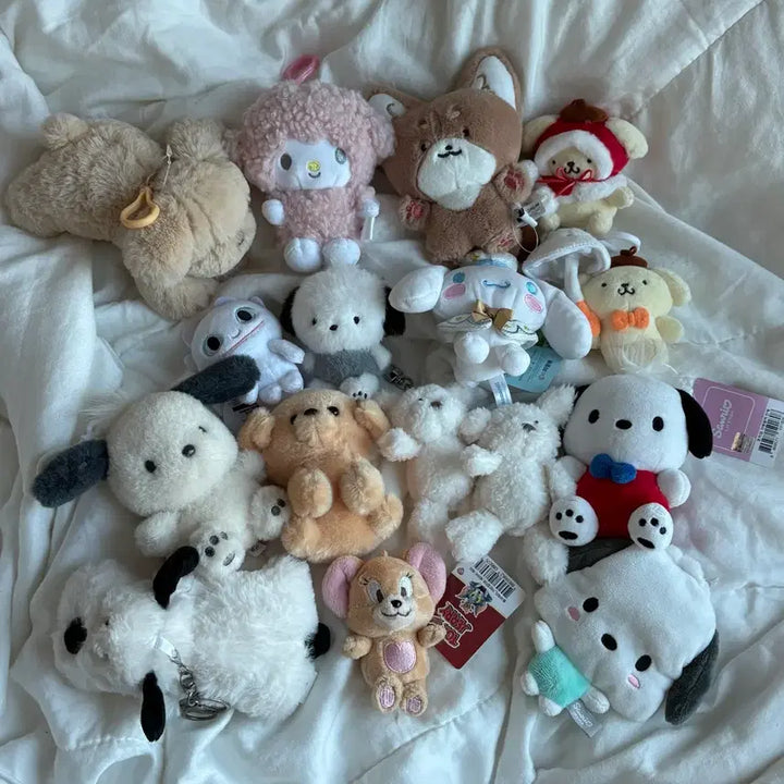 [BUNJANG] Sanrio Pochacco, Pompompurin, How to Train Your Dragon Plush Bundle Set / 산리오 포차코 폼폼푸린 드레곤길들이기 인형 일괄