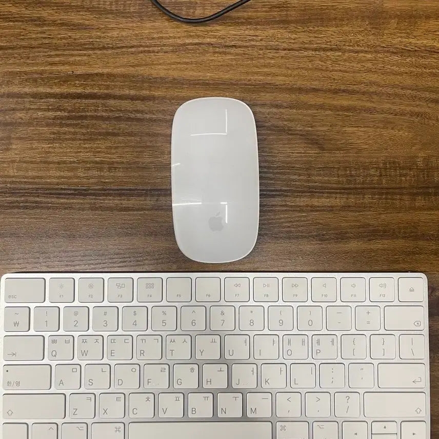 [BUNJANG] Apple Magic Mouse &amp; Keyboard Set / 애플 매직마우스 키보드 세트 팔아요