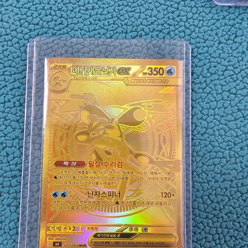 [BUNJANG] Mega Sceptile EX Full Gold Card / 급매입니다! 메가 개굴닌자 EX 풀 골드 카드