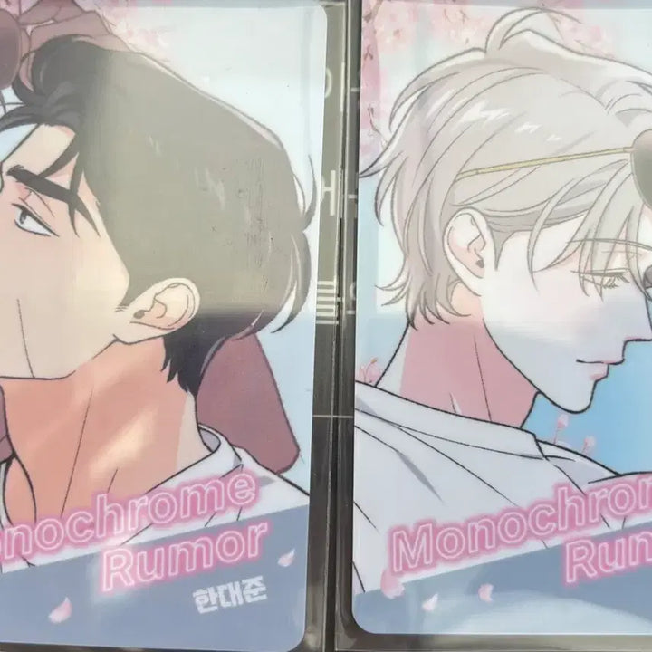 [BUNJANG] Noctua Lucky Draw Photocard Monochrome Rumor / 녹티아 럭드 포카 모노크롬루머