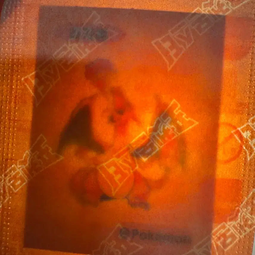 [BUNJANG] Pokemon Charizard Sticker / 포켓몬스터 리자몽 띠부실