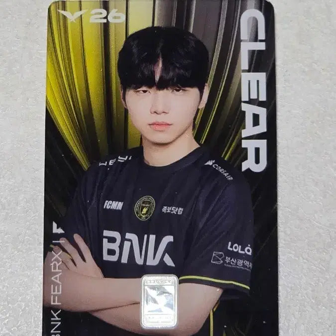 [BUNJANG] BNK CLEAR Mint Condition Silver Card Photocard / BNK CLEAR 조폐공사 실버카드 클리어