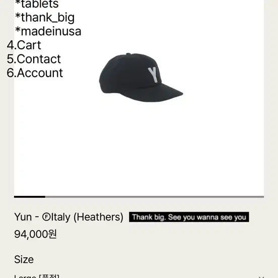 [BUNJANG] Tefstorz Yun Large Size Cap / [L] 테프스토어즈 yun