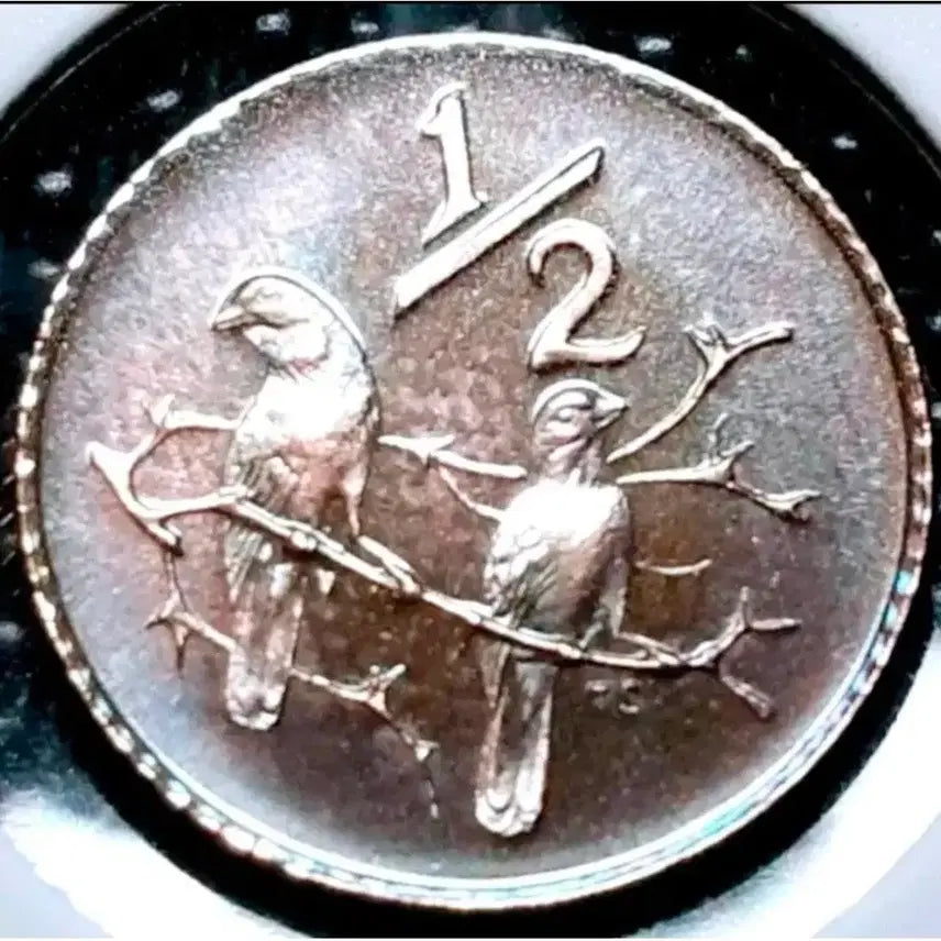 [BUNJANG] South Africa 1979 1/2 Cent Proof Unused Coin / 남아프리카 1979년 프루프  미사용 1/2센트.외국주화.주화 화폐 동전