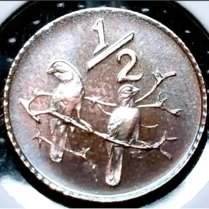 [BUNJANG] South Africa 1979 1/2 Cent Proof Unused Coin / 남아프리카 1979년 프루프  미사용 1/2센트.외국주화.주화 화폐 동전