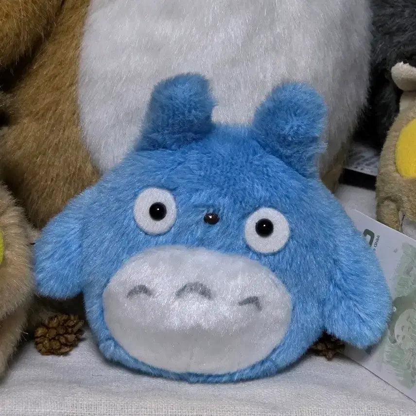 [BUNJANG] Studio Ghibli Chū Totoro Ozami Doll / 지브리 중토토로 오자미 인형