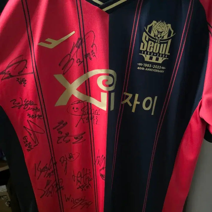 [BUNJANG] FC Seoul 40th Anniversary Signed Iljutcenko Jersey (XL) / FC서울 사인 유니폼 40주년 일류첸코 마킹 105(XL)