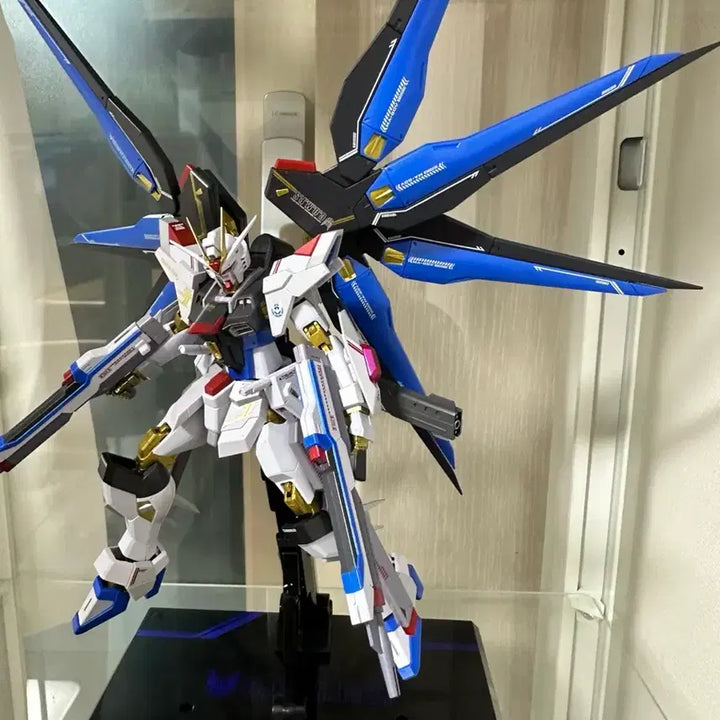 [BUNJANG] Metal Robot Spirits Strike Freedom Gundam 2-type / 메탈로봇혼 스트라이크 프리덤 건담2식 개봉 전시