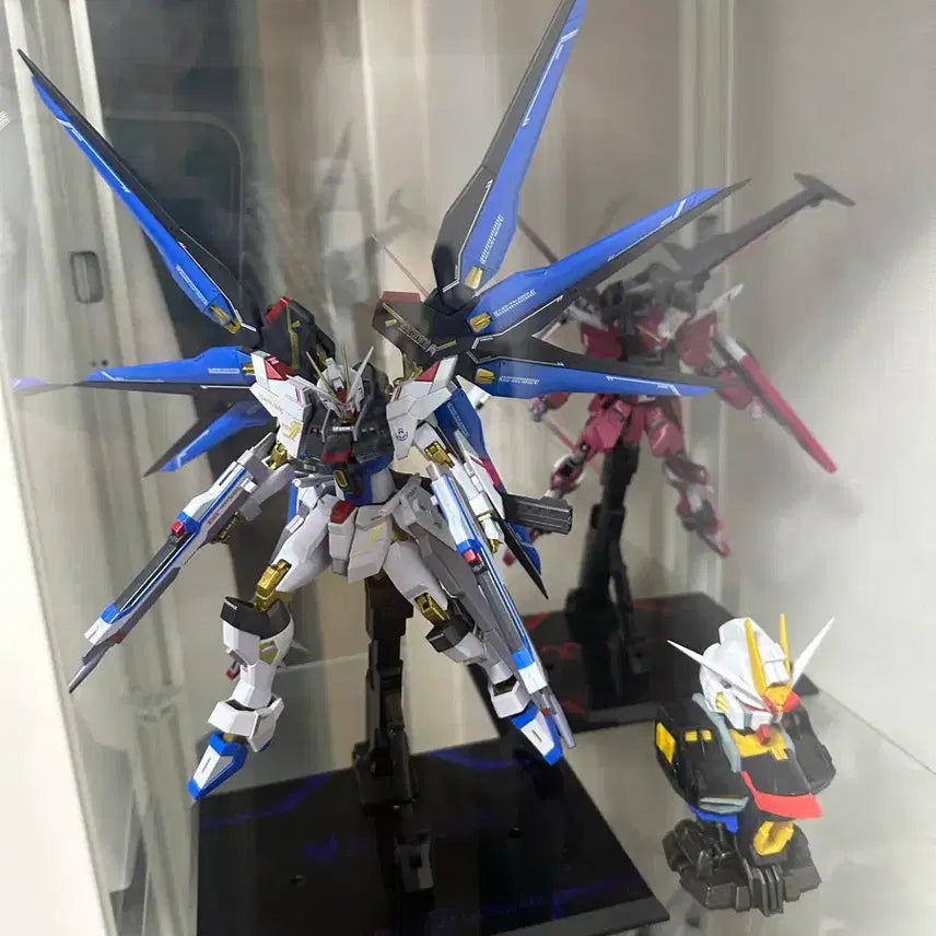 [BUNJANG] Metal Robot Spirits Infinite Justice Gundam Type 2 (Opened) / 메탈로봇혼 인피니트 저스티스2식 건담 개봉 전시