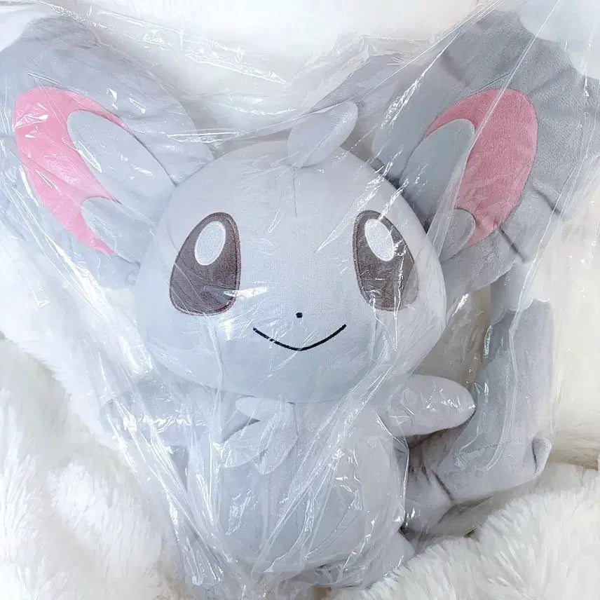 [BUNJANG] Pokemon Large Chirami Plush / 주말 할인) 포켓몬 중대형 치라미 인형