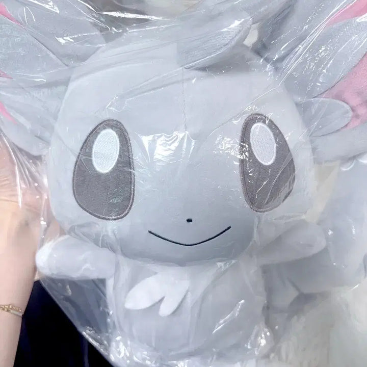 [BUNJANG] Pokemon Large Chirami Plush / 주말 할인) 포켓몬 중대형 치라미 인형
