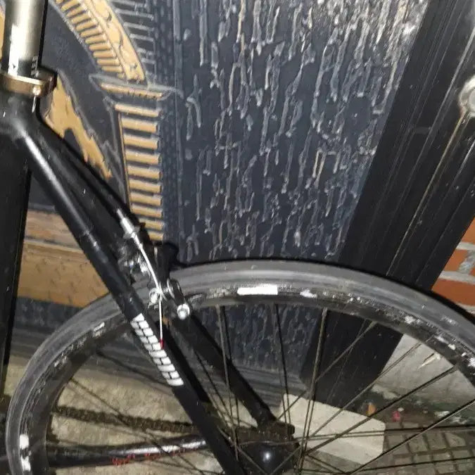 [BUNJANG] Unknown PSX2016 Track Bike / 언노운 PSX2016
