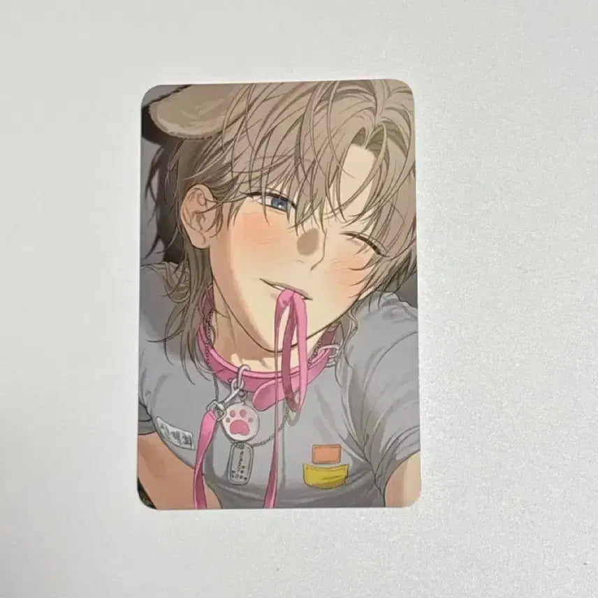 [SOLD OUT] 미블컴퍼니 사용후반품불가 사반불 5특 포카