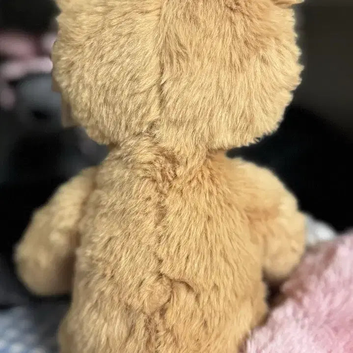 [BUNJANG] Jellycat Rufus Bear Small Size / jellycat 젤리캣 루퍼스 베어