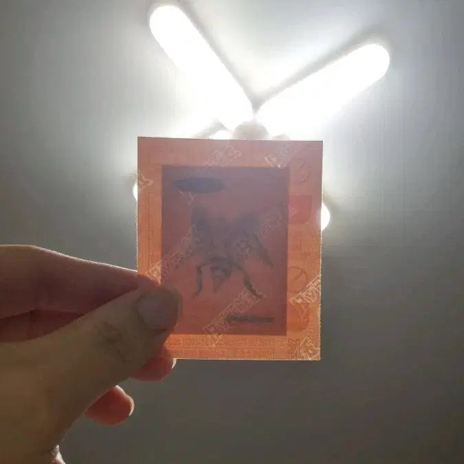 [BUNJANG] Pokemon 30th Anniversary Nidoran (Poison Sting) Sticker - Sealed / 포켓몬스티커 30주년 독침봉 미개봉
